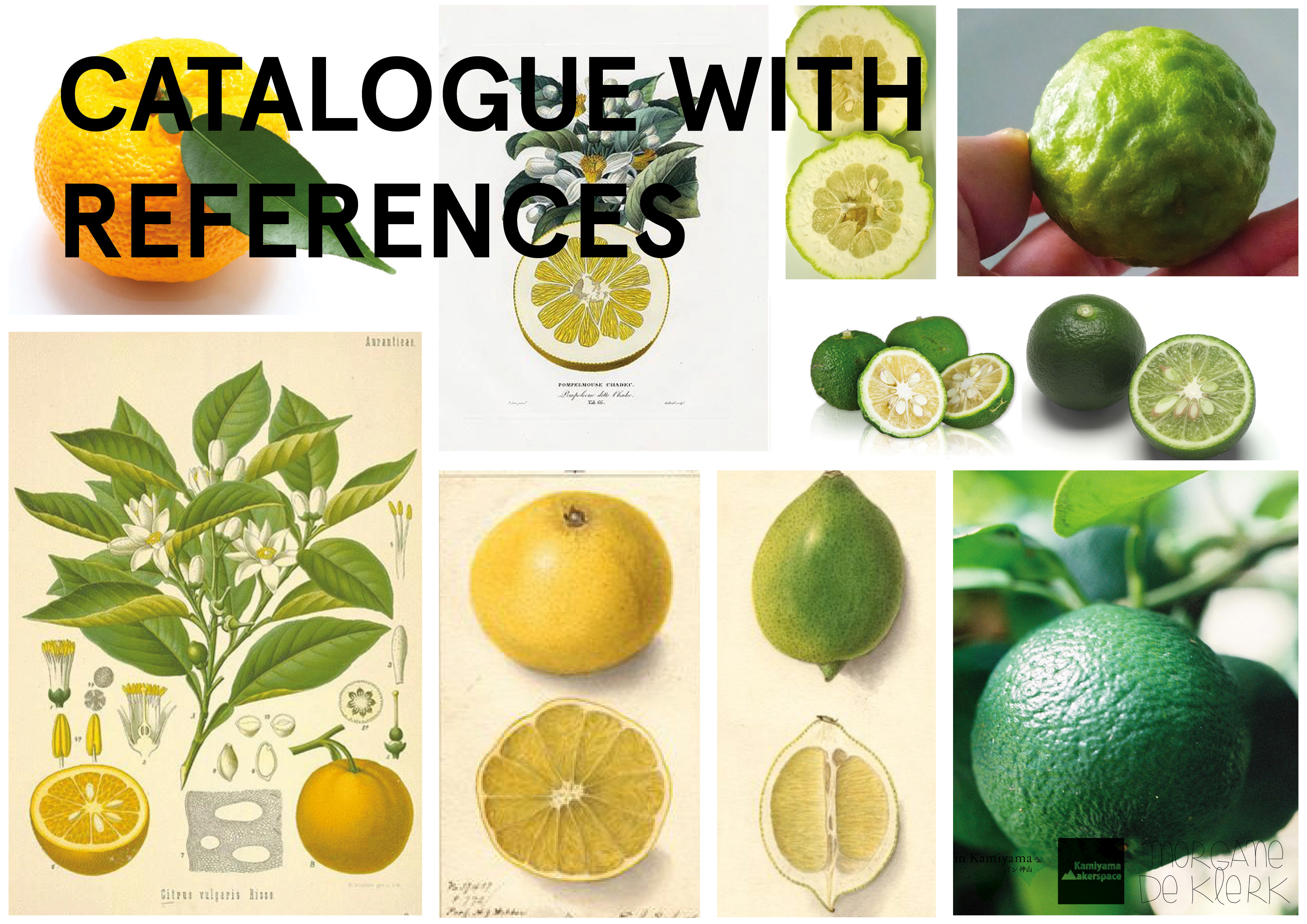 workshop sudachi presentation9